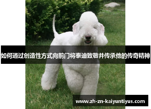 如何通过创造性方式向前门将泰迪致敬并传承他的传奇精神