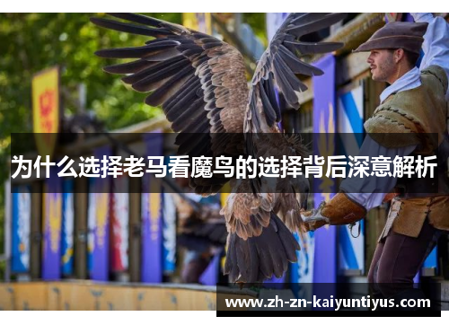 为什么选择老马看魔鸟的选择背后深意解析