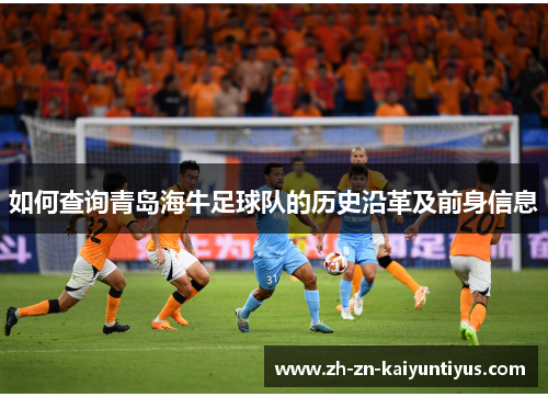 如何查询青岛海牛足球队的历史沿革及前身信息
