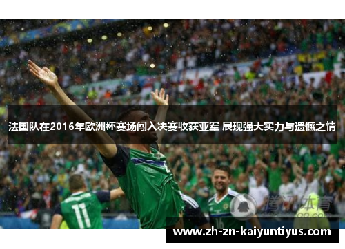 法国队在2016年欧洲杯赛场闯入决赛收获亚军 展现强大实力与遗憾之情
